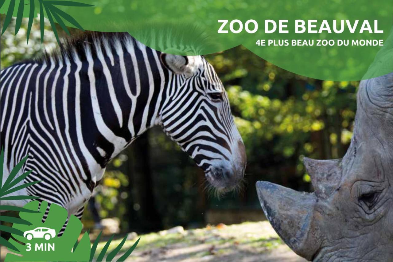 "Le Savannah" - Jacuzzi - A 3Min Du Zoo De Beauval Saint-Aignan  Esterno foto